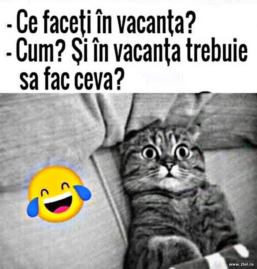 Ce faceti in vacanta? | poze haioase
