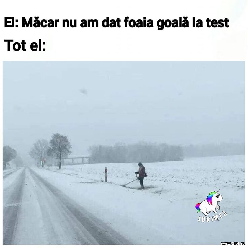 Macar nu am dat foaia goala la test | poze haioase
