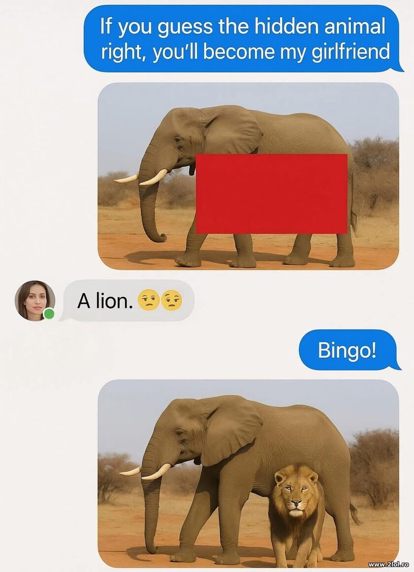 My girlfriend | poze haioase