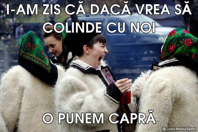 Dacă vrea să colinde şi ea | poze haioase
