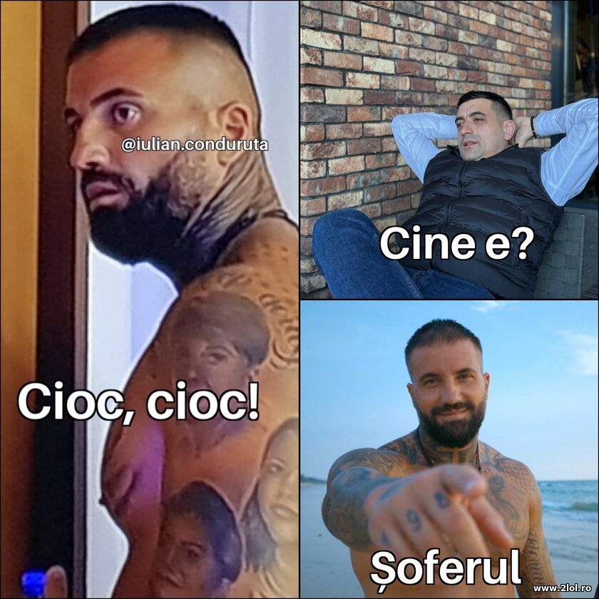 Cioc, cioc! | poze haioase