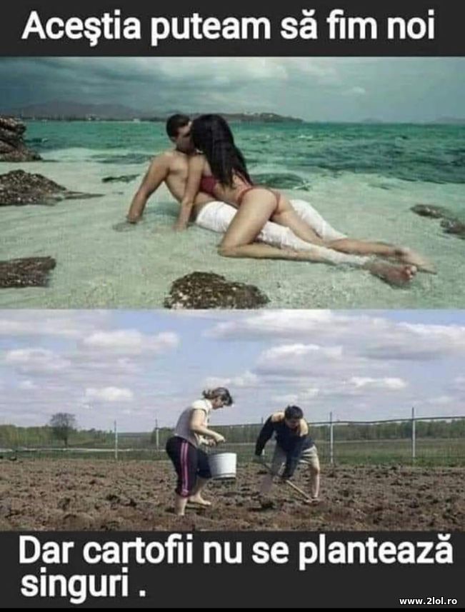 Acestia puteam fi noi dar cartofii nu se planteaza | poze haioase