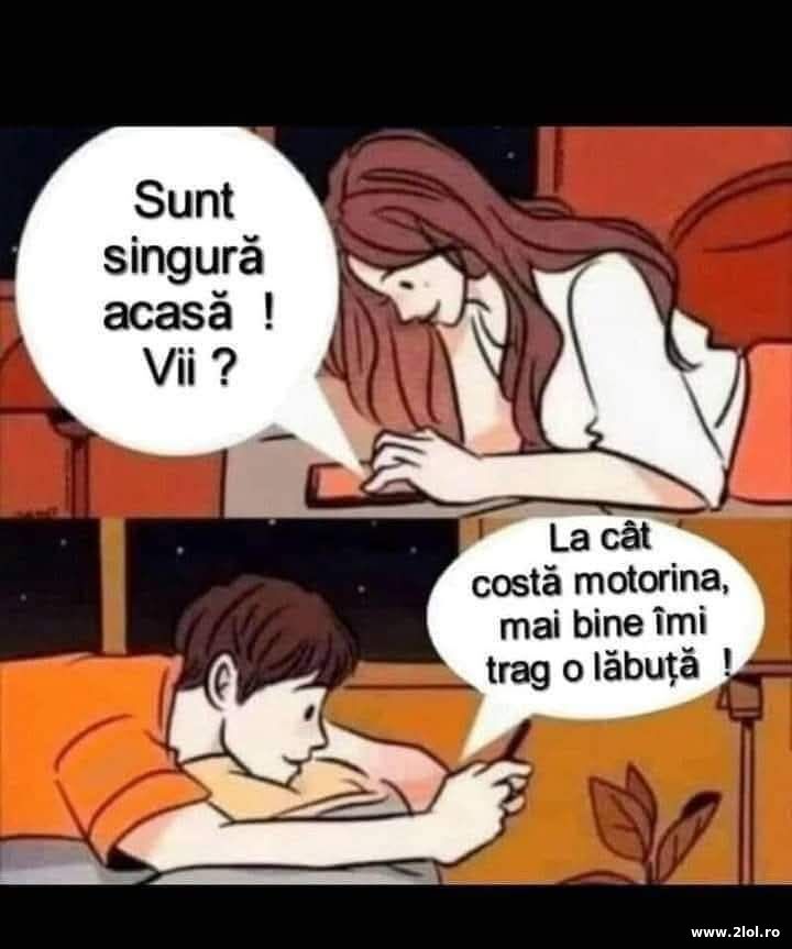 Sunt singura acasa! | poze haioase