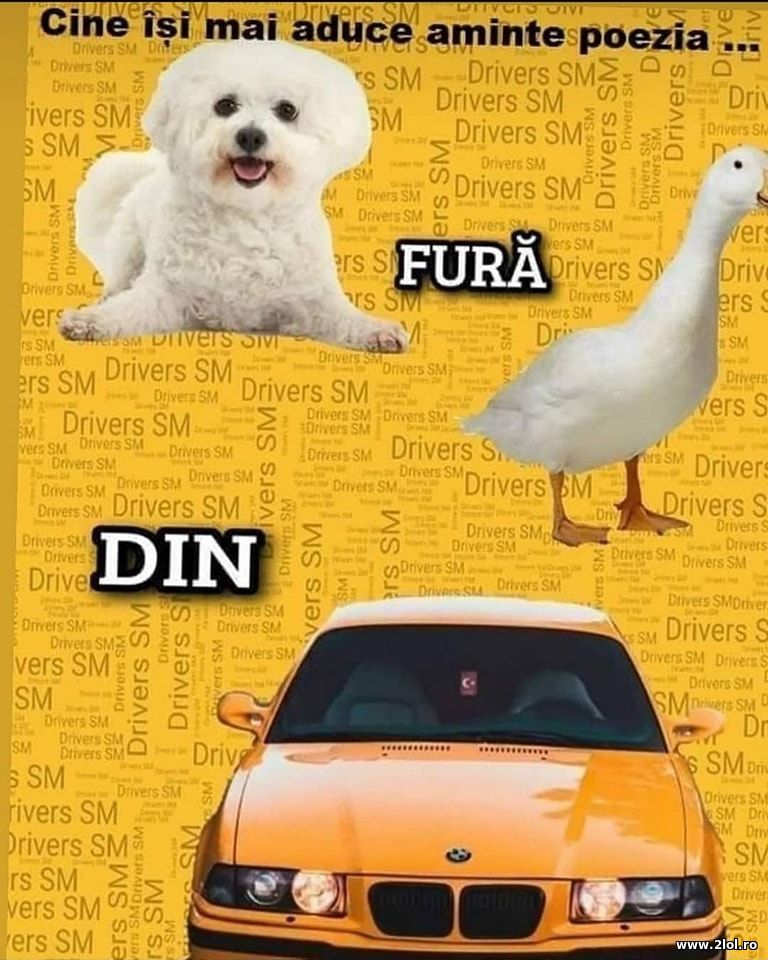 Cine isi mai aduce aminte poezia fura din cotet | poze haioase