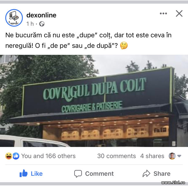Covrigul dupa colt | poze haioase