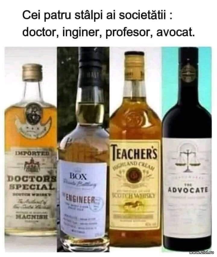 Cei patru stalpi | poze haioase