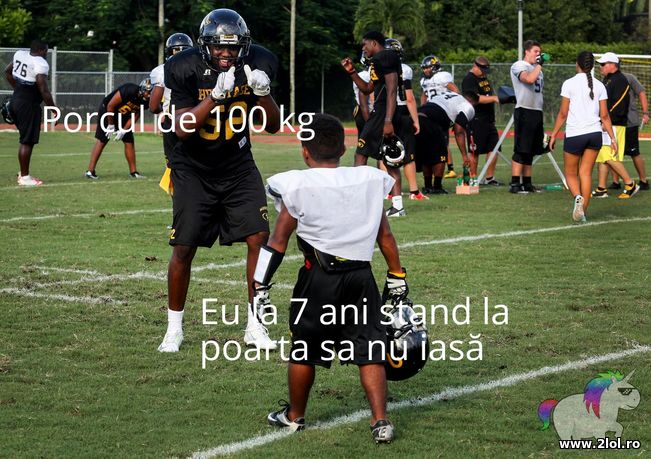 Porcul de 100kg | poze haioase
