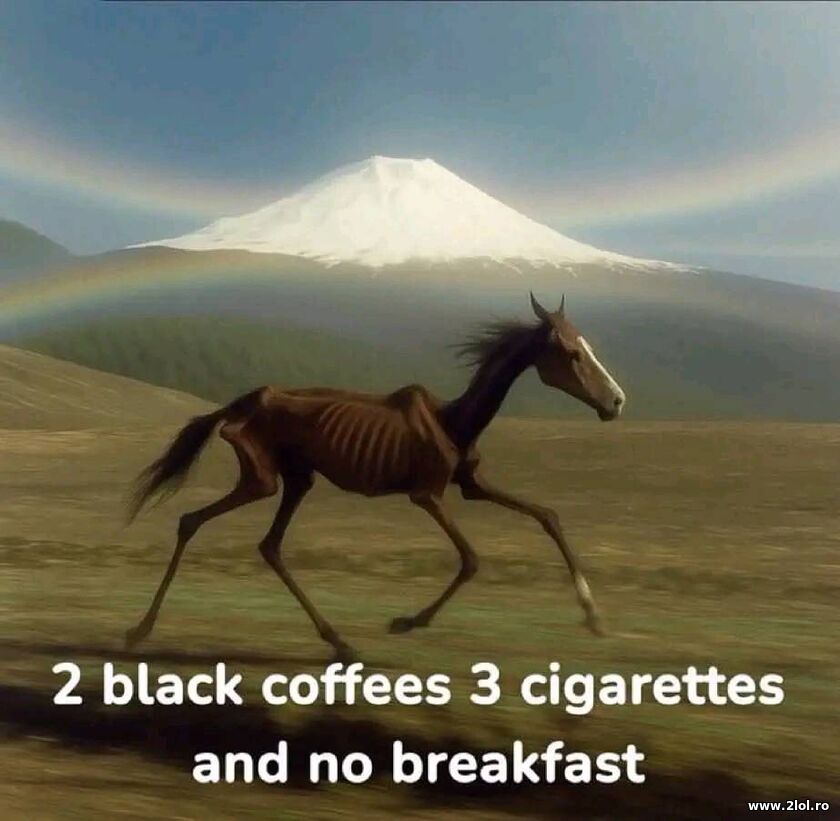 2 black coffes 3 cigarettes | poze haioase