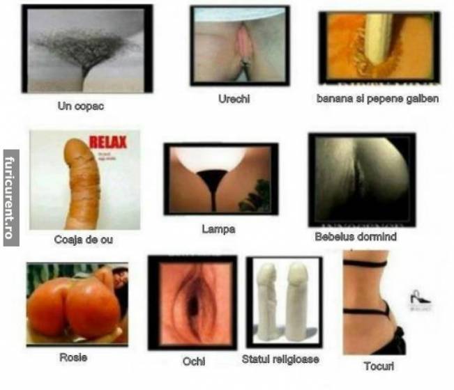 Nu te gândi la prostii, uită-te ce scrie sub ele | poze haioase