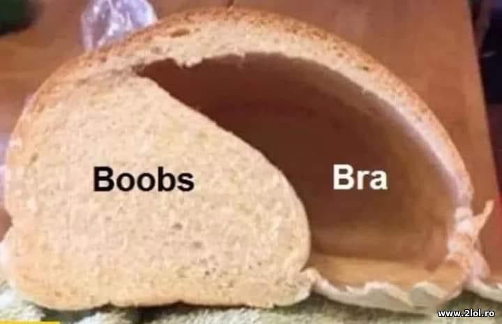 Boobs and bra | poze haioase