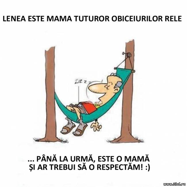 De ce ar trebuii să respectăm lenea | poze haioase