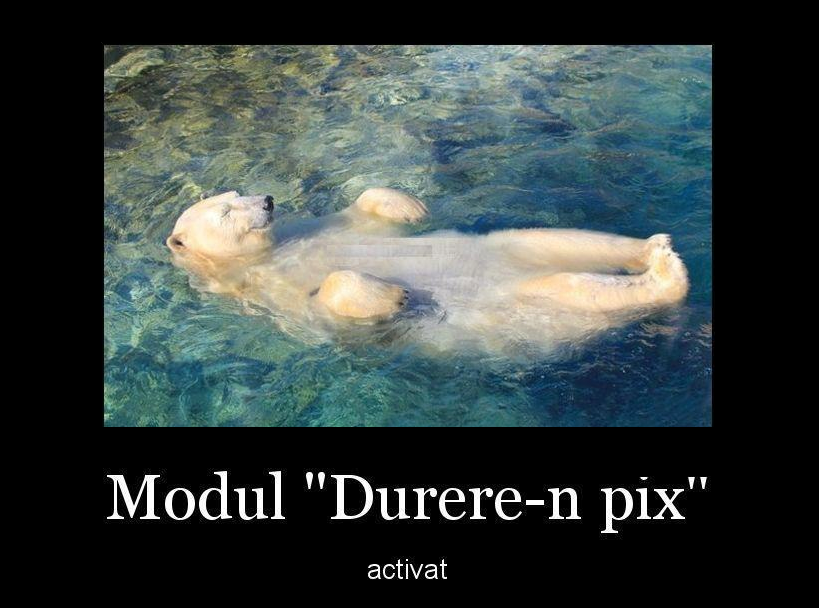 Modul pentru weekend | poze haioase