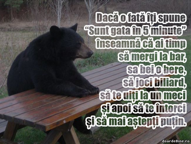 Ce poți să faci în 5 minute până ea e gata | poze haioase