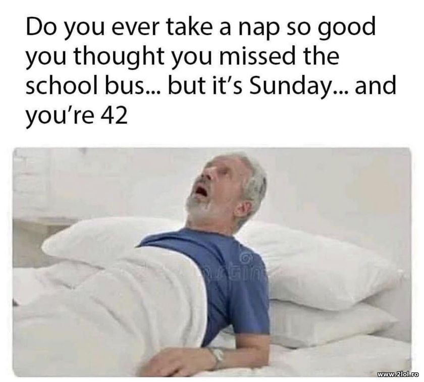 Did you ever take a nap so good | poze haioase