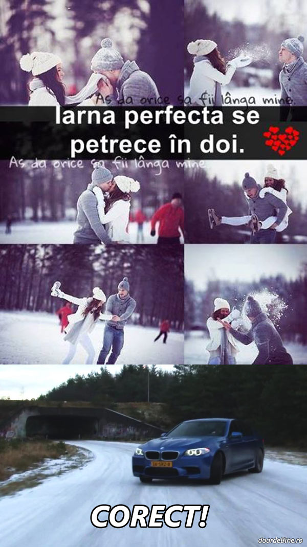 Cum se petrece iarna perfectă | poze haioase