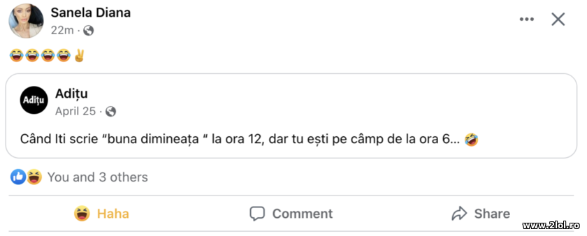 Cand iti scrie buna dimineata la ora 12 | poze haioase