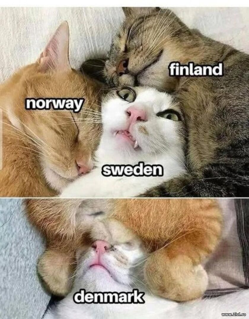 Norway, Finland, Sweden, Denmark | poze haioase