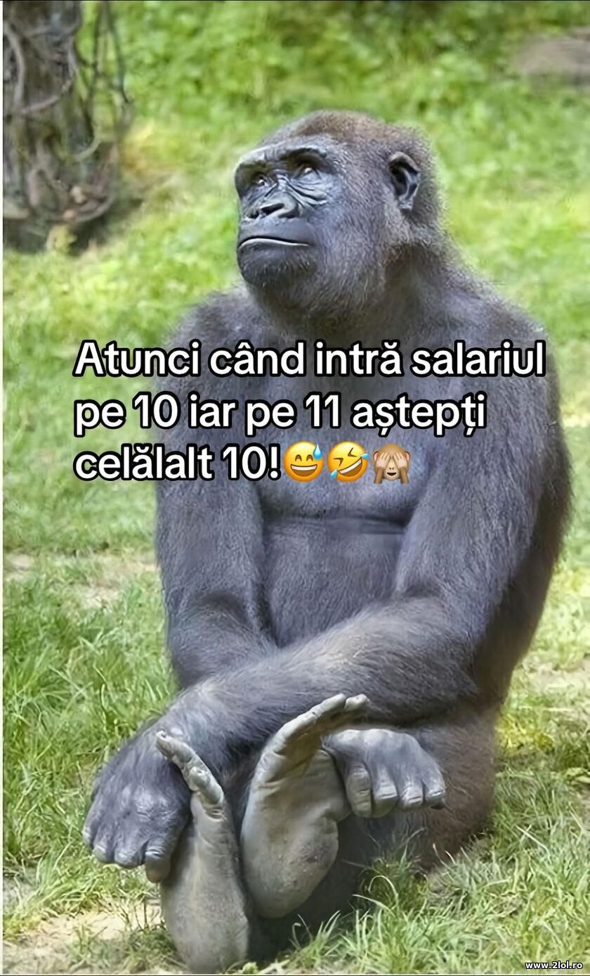 Cand intra salariul | poze haioase
