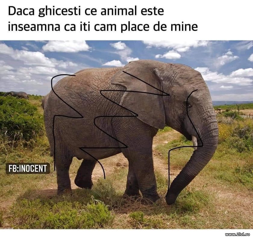 Daca ghicesti inseamna ca iti place de mine | poze haioase