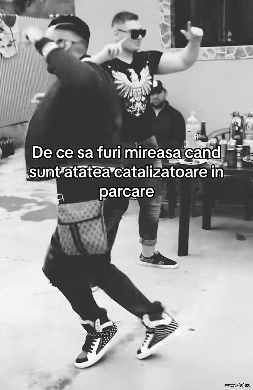 De ce furi mireasa cand sunt atatea catalizatoare | poze haioase