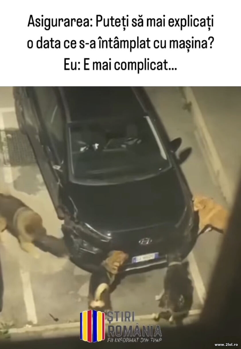 Ce s-a intamplat cu masina? | poze haioase