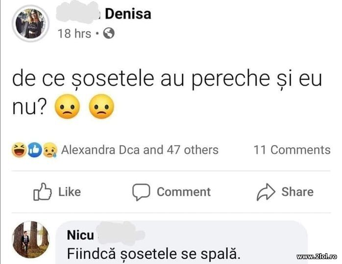 De ce sosetele au pereche? | poze haioase