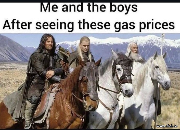 Me and the boys after seeing gas prices | poze haioase