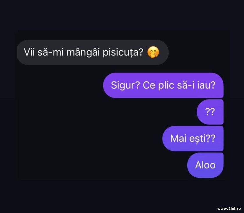 Vii sa imi mangai pisicuta | poze haioase