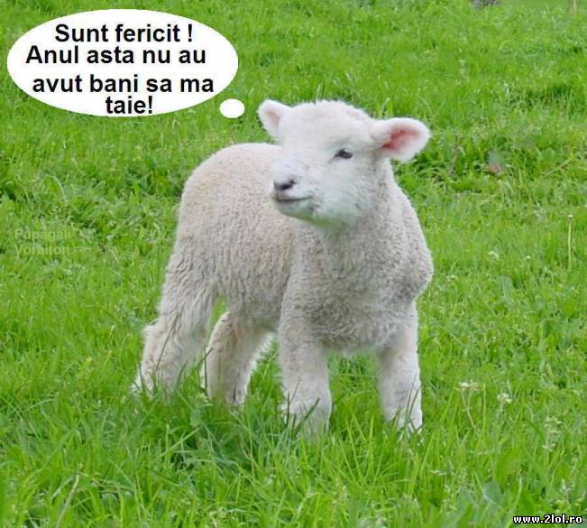 Partea bună a crizei din România | poze haioase