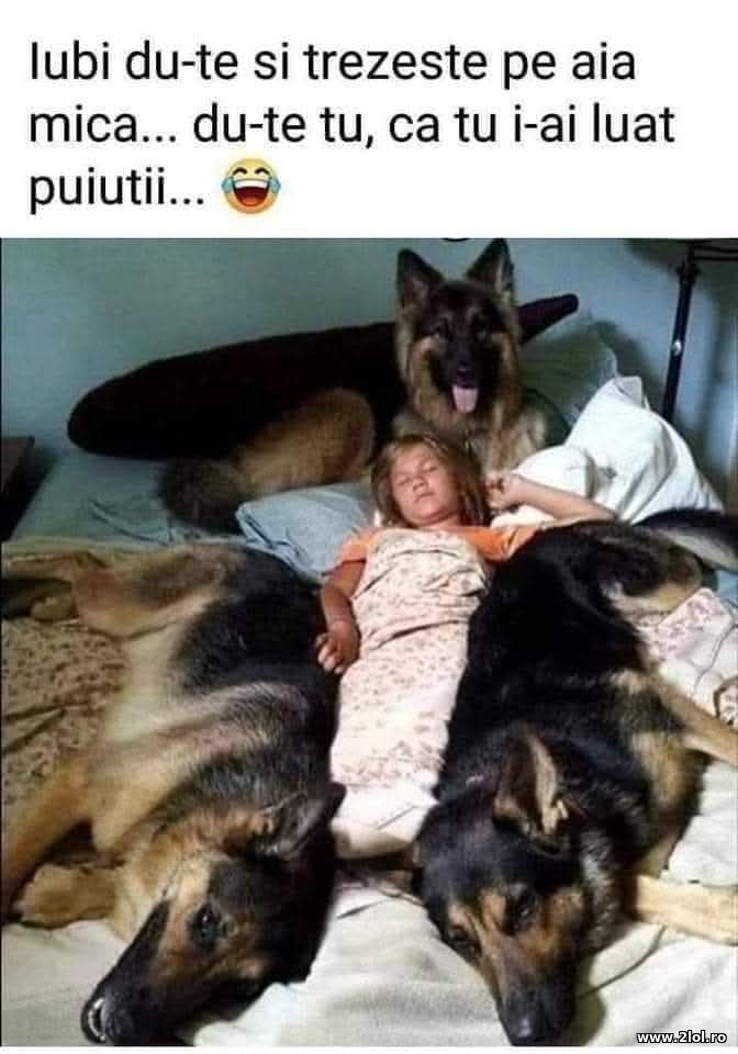 Du-te tu | poze haioase