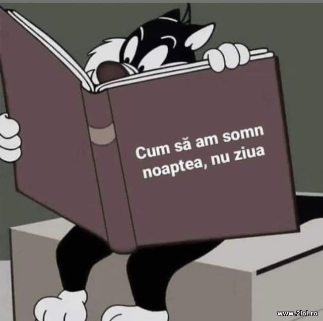 Cum sa am somn noaptea, nu ziua | poze haioase