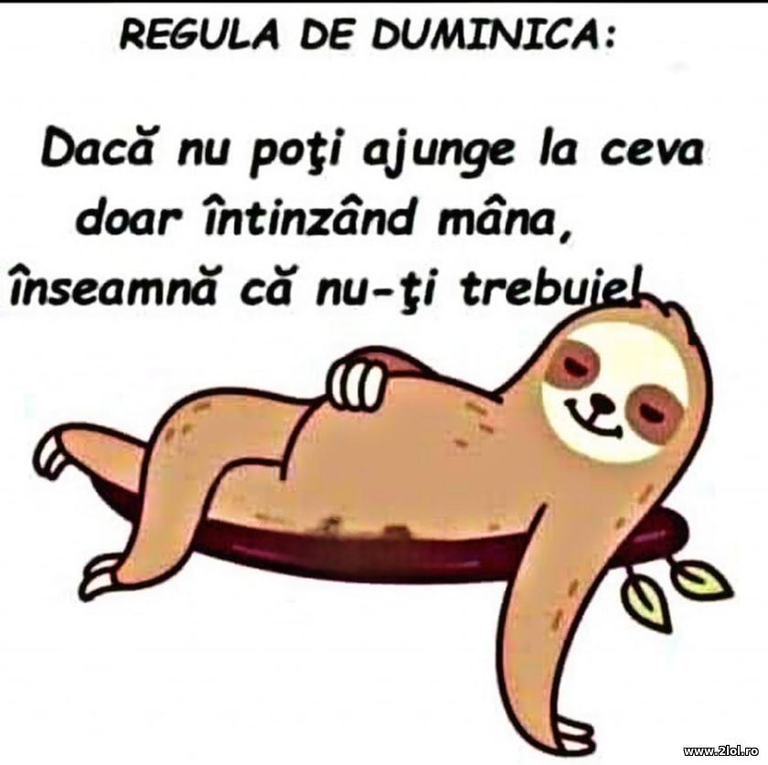 Regula de Duminica | poze haioase