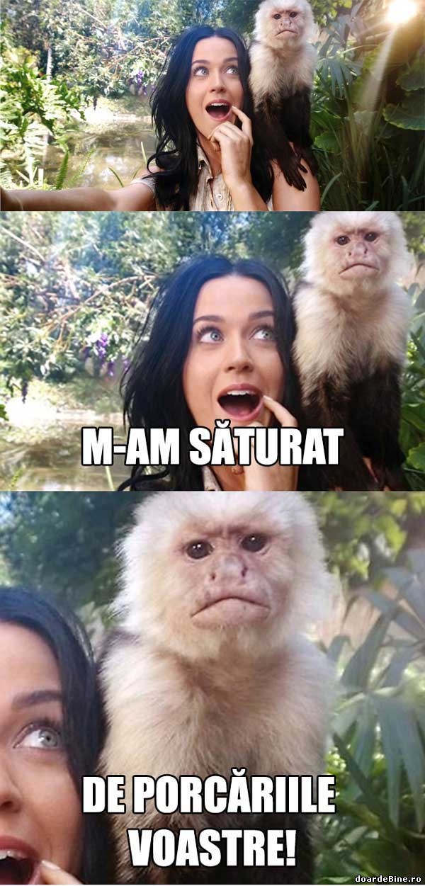 Animalele din grădina zoologică ar fi gen | poze haioase