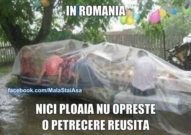 Măi străinilor, priviți și învățați | poze haioase