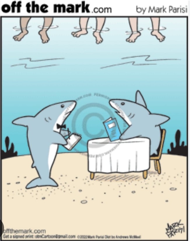 Meniul rechinilor | poze haioase