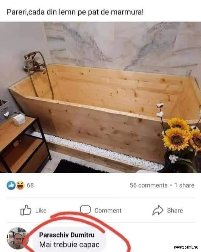 Pareri, cada din lemn | poze haioase