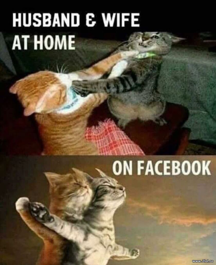 Husband and wife at home and on Facebook | poze haioase
