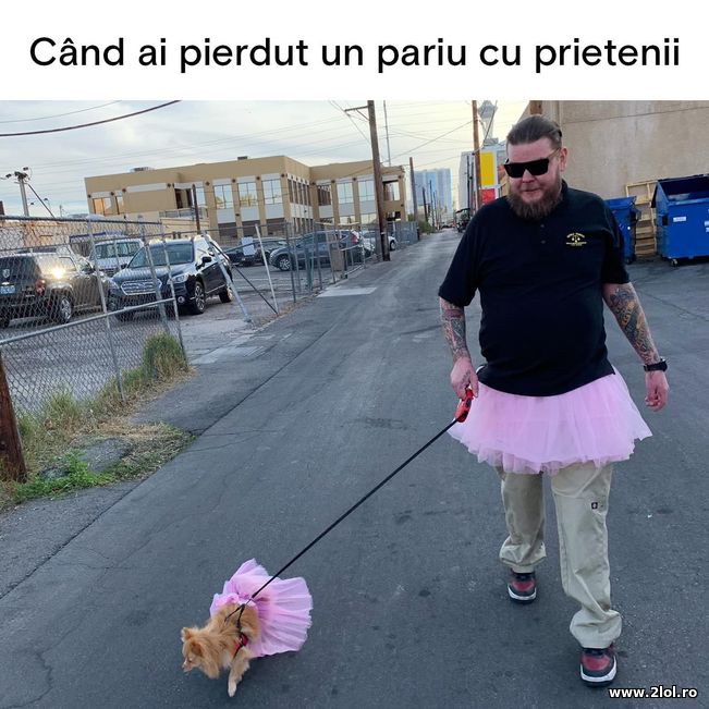 Cand ai pierdut un pariu cu prietenii | poze haioase