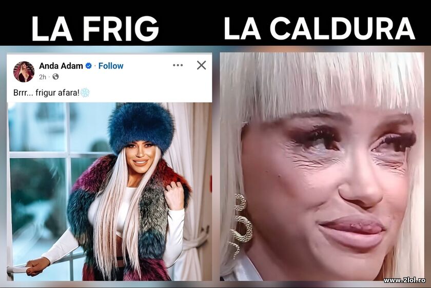 Anda Adam la frig si la caldura | poze haioase