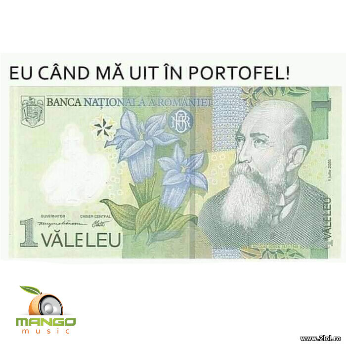 Cand ma uit in portofel | poze haioase