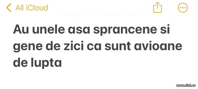 Au unele asa sprancene si gene de zici ca sunt avi | poze haioase