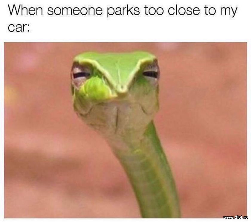 When someone parks too close to my car | poze haioase