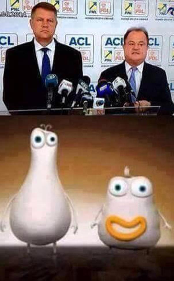 Pămătuful și Bulldogul | poze haioase