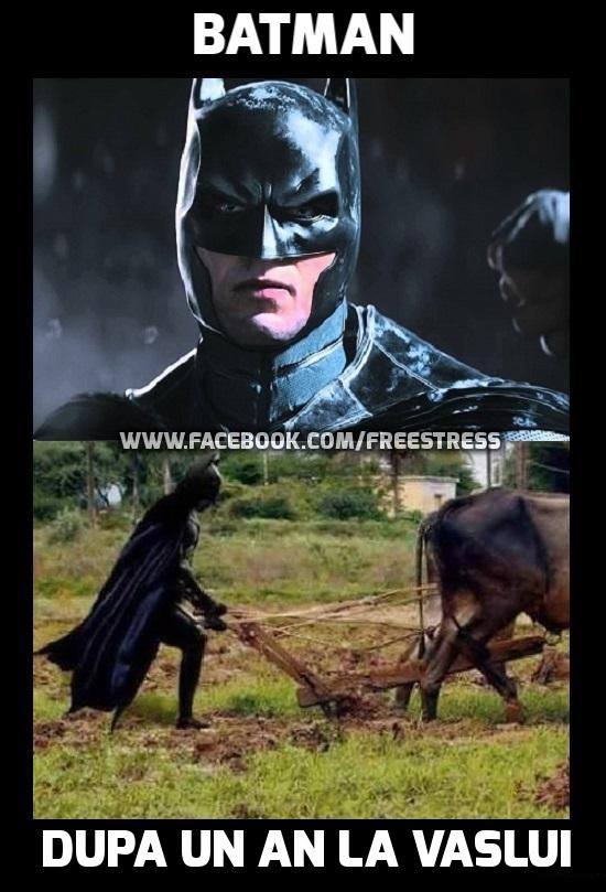 Batman la Vaslui | poze haioase