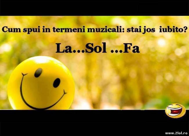 Stai jos iubito, în termeni muzicali | poze haioase