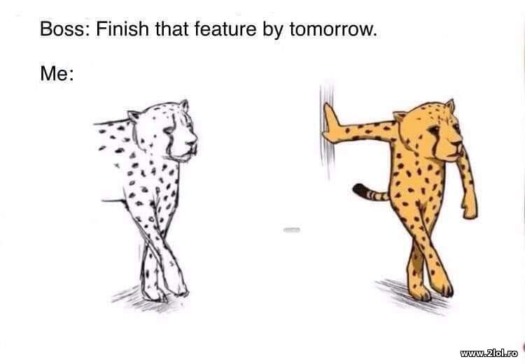 Boss: Finish that feature by tomorrow | poze haioase