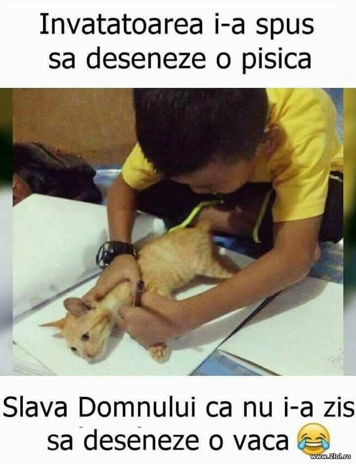 Sa deseneze o pisica | poze haioase