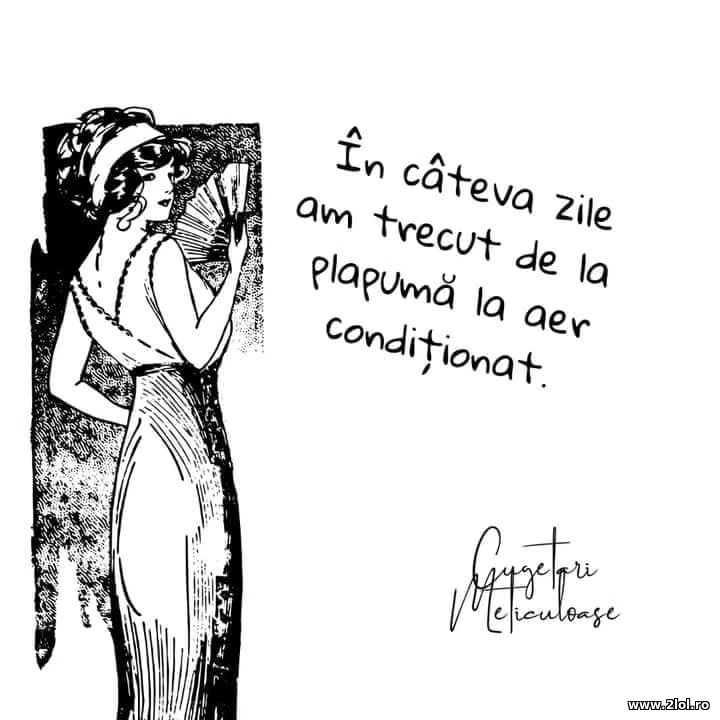 In cateva zile am trecut de la plapuma la clima | poze haioase