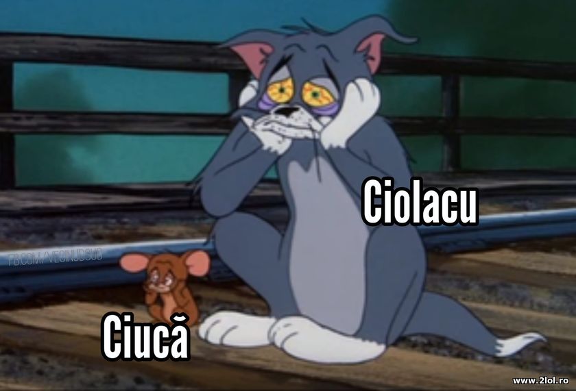 Ciuca si Ciolacu dupa alegeri | poze haioase