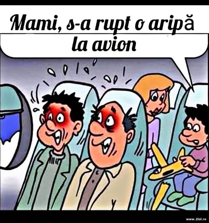 Mami, s-a rupt o aripa la avion | poze haioase